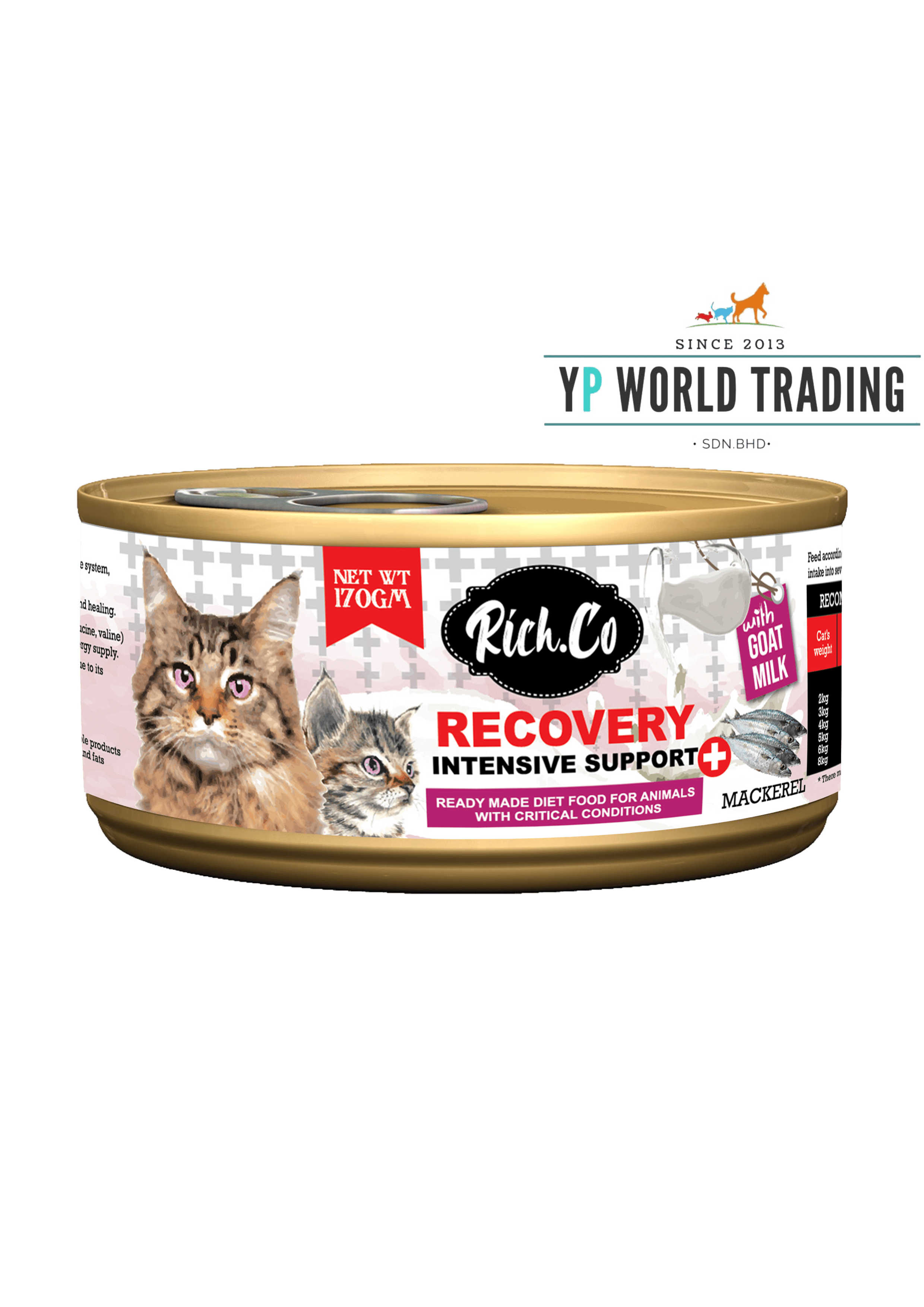 kitten recovery food